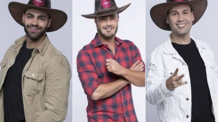 Netto, Rodrigo e Viny estão na roça – Confira como foi a ...